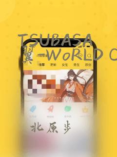 TSUBASA翼-WoRLD CHRoNiCLE 梦幻之岛篇：结局+番外