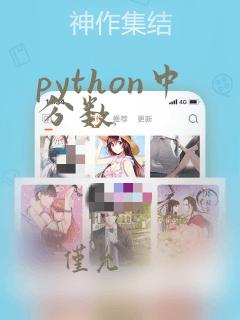 python中分数