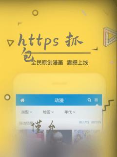 https 抓包