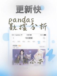 pandas 数据分析