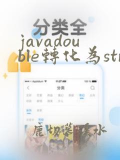 javadouble转化为string