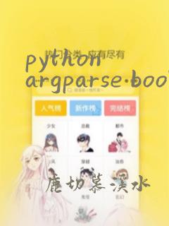 python argparse bool