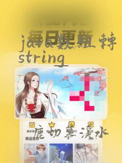 java数组转string