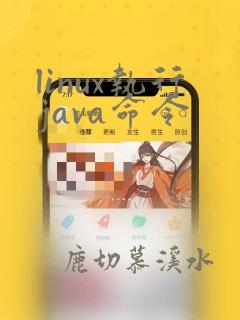 linux执行java命令