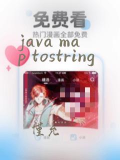 java map tostring