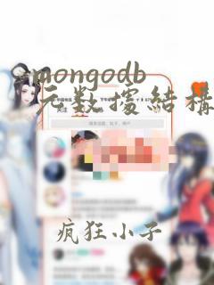 mongodb元数据结构