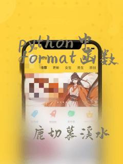 python中format函数
