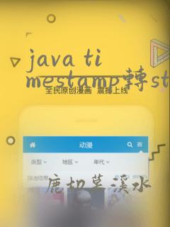 java timestamp转string