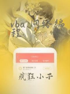 vba 网络编程