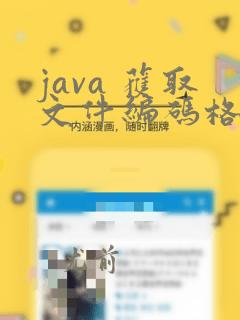 java 获取文件编码格式