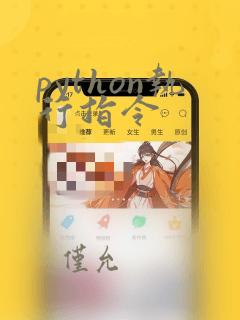 python执行指令