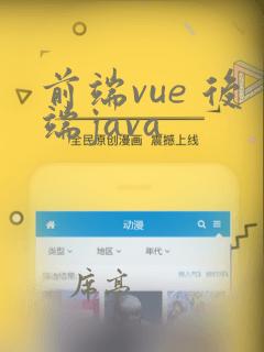 前端vue 后端java