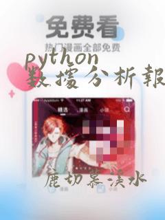 python 数据分析报告