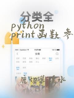 python print函数参数
