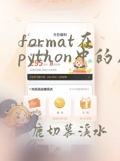 format在python中的用法例子