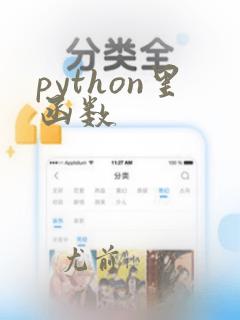 python里函数