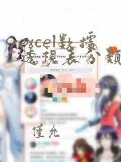 excel数据透视表分类汇总