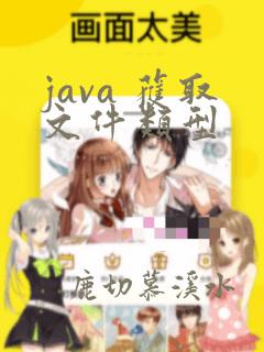 java 获取文件类型