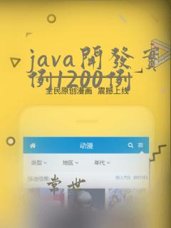 java开发实例1200例