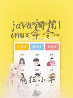 java调用linux命令