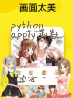 python apply函数