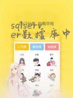 sqlserver数据库中间件