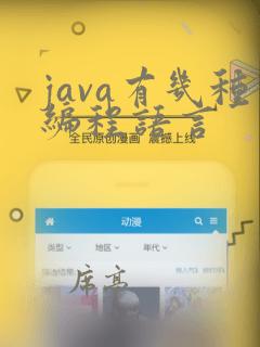 java有几种编程语言