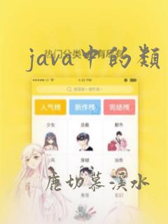 java中的类