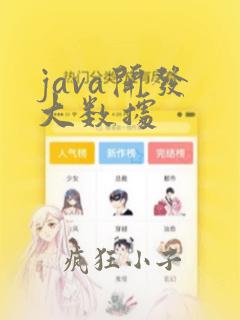 java开发 大数据