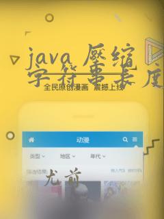 java 压缩字符串长度