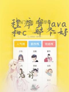 程序员java和c  哪个好
