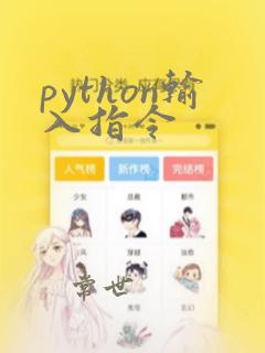 python输入指令