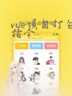 vue项目打包指令