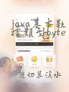 java基本数据类型byte