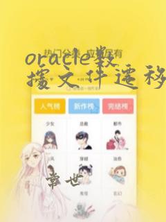 oracle数据文件迁移