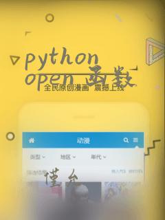 python open 函数