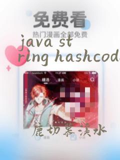 java string hashcode