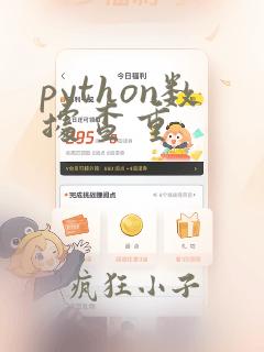 python数据查重