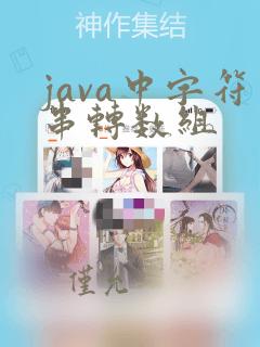 java中字符串转数组
