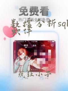 数据分析sql软件