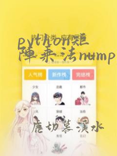 python矩阵乘法numpy