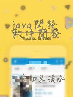 java开发 软件开发