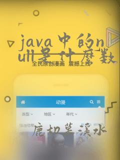 java中的null是什么数据类型