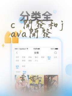 c 开发和java开发