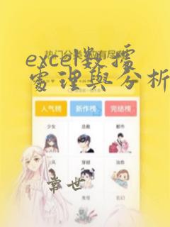 excel数据处理与分析pdf