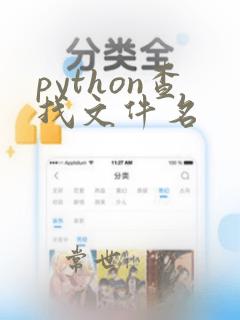 python查找文件名