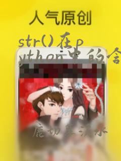 str()在python中的含义