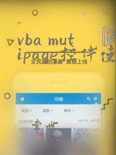 vba mutipage控件使用
