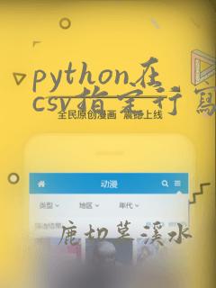 python在csv指定行写入数据