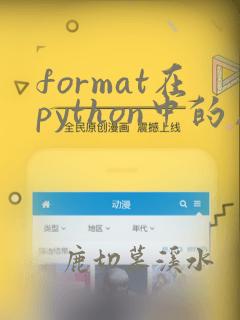 format在python中的用法